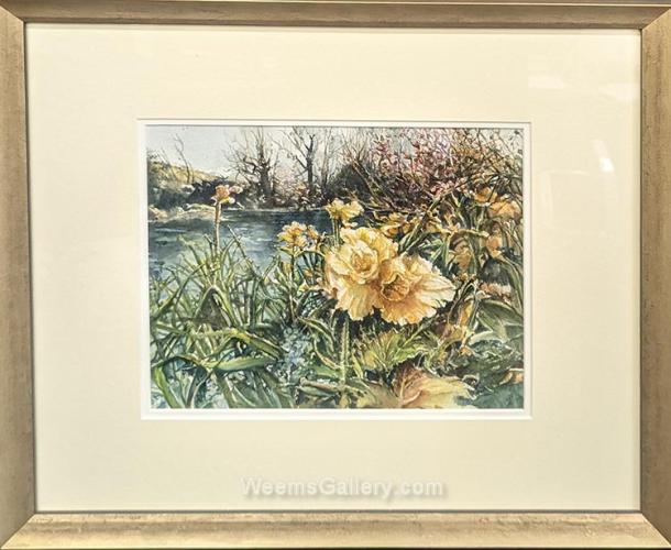 Monet's Daffodils by Carol Carpenter